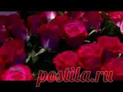(+1) тема - "Где-то во Вьетнаме". Видео-открытка | ВИДЕОСМАК