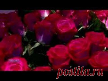 (+1) тема - &quot;Где-то во Вьетнаме&quot;. Видео-открытка | ВИДЕОСМАК