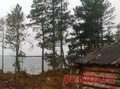 Одноклассники