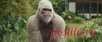 Джордж показывает фак. Рэмпейдж. 2018 by Юмор и приколы