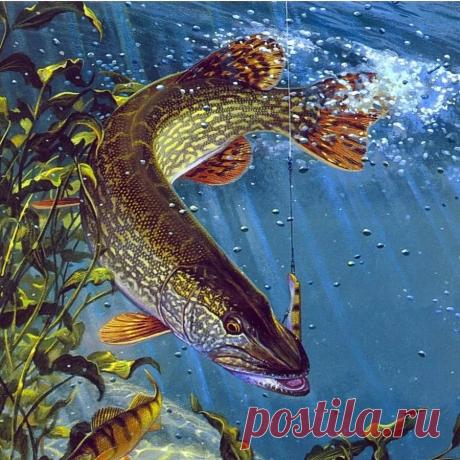 рыбалка фото для декупажа: 10 тыс изображений найдено в Яндекс.Картинках