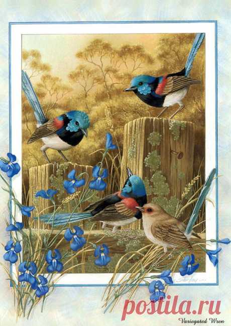 744165b049f2e29e16d20efe7f16ea39bc81d698027243.jpg (805×1135)