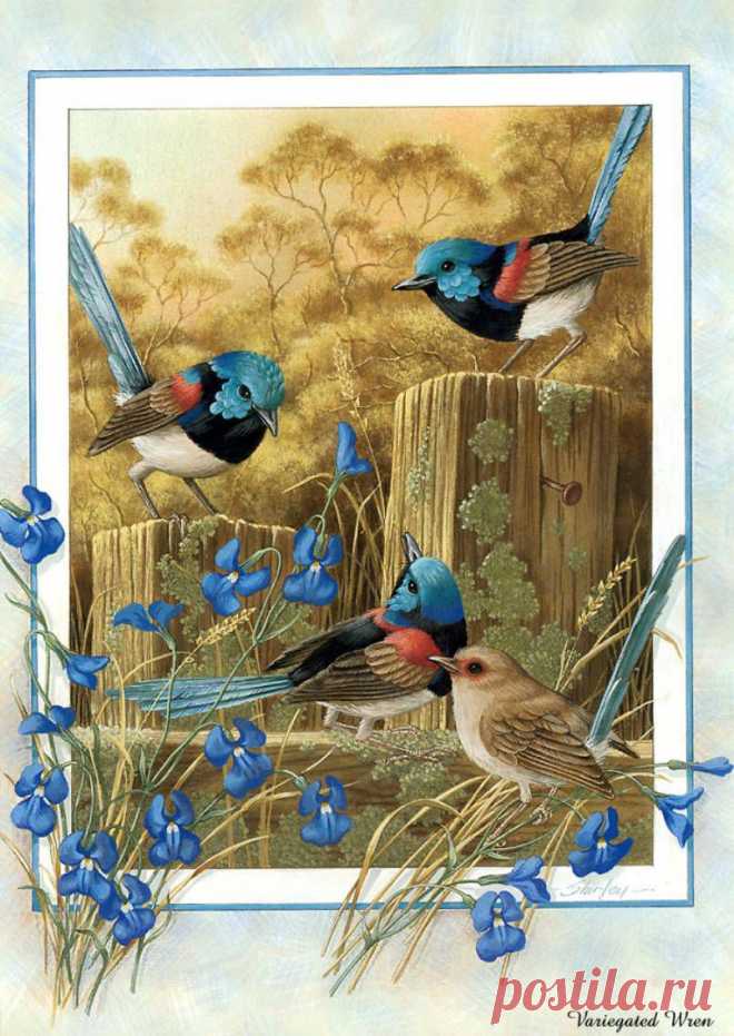 744165b049f2e29e16d20efe7f16ea39bc81d698027243.jpg (805×1135)