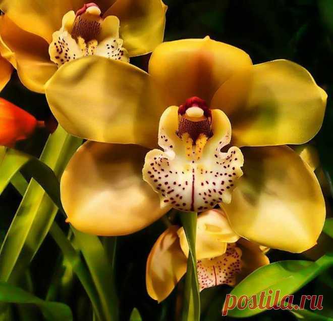 (1) Facebook