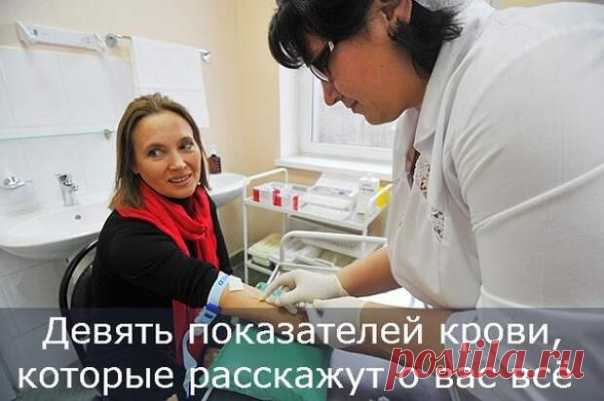 9 показателей Крови, которые расскажут о Вас ВСЁ!