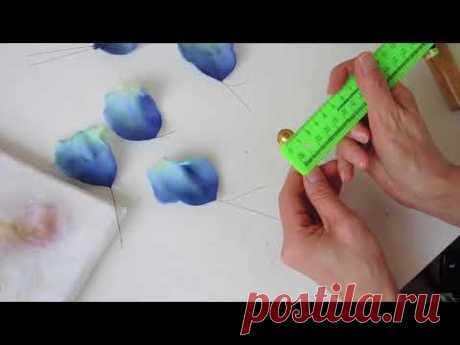 Роза Фиджи  Анонс