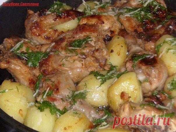 Курочка в кефире / Популярная астрономия