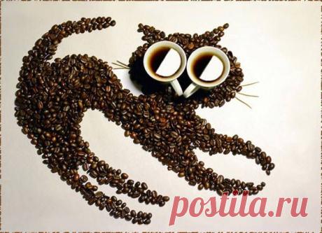 Кофейная кошка.