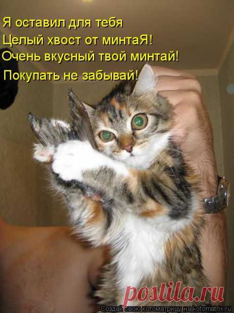 Не идите, люди, в БИЗНЕС под названием МЛМ - там большие ДЕНЬГИ платят, ну, а Вам они зачем? Лучше утром на работу, и так 40 лет подряд, и ты с гордостью пополнишь нищих с пенсией отряд! Ну а если так НЕ ХОЧЕШЬ ? Хочешь ДЕНЕЖКИ иметь? Ставь скорее &quot;+&quot;, всем отвечу! Будем вместе богатеть!!!​