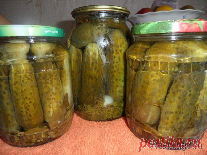 Заготовки