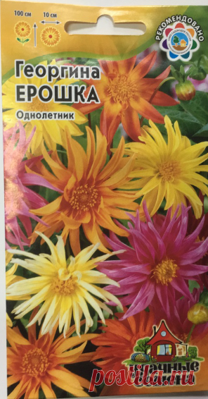 Георгина "Ерошка", смесь