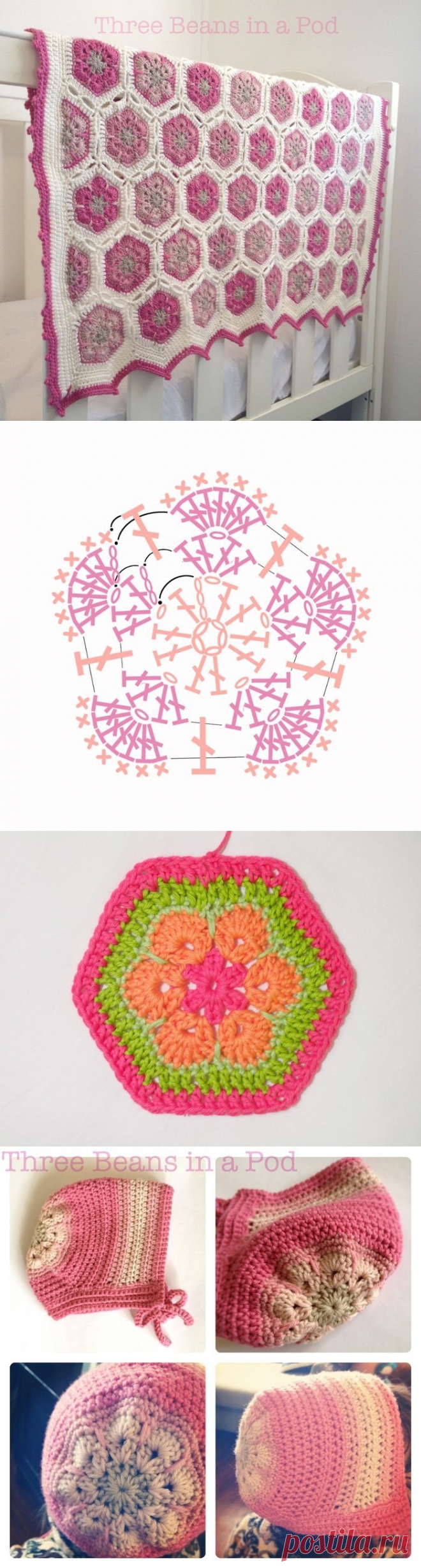 Любимый африканский цветок