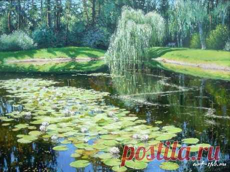 (52) Одноклассники