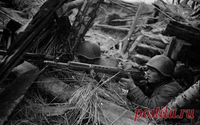 Военный альбом: военные фотографии 1939, 1940, 1941-1945 годов