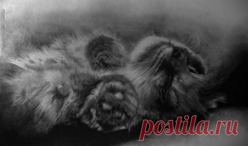 Рисунки простым карандашом от Paul Lung (117 работ) » Страница 4 » Картины, художники, фотографы на Nevsepic
