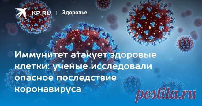 2023-Иммунитет атакует здоровые клетки: ученые исследовали опасное последствие коронавируса Иммунолог Болибок объяснил, почему коронавирус повышает риск аутоиммунных заболеваний