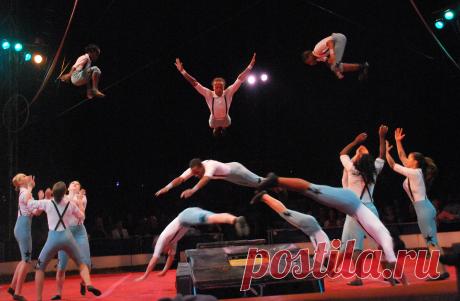 Циркачи-акробаты выступают на арене цирка.