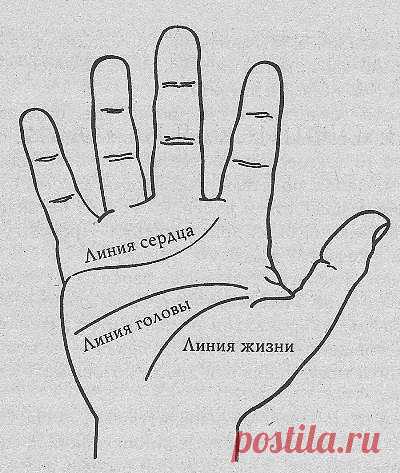 75 способов определения болезни по руке 
 
1. Совершенно плоский холм Венеры и большая арка на первом браслете, говорят о трудных родах. К сожалению, этот знак подтверждался на 99 %. 
 
2. По мере развития заболевания рака кожа ладони часто приобретает зеленоватый оттенок. 
 
3. При раке толстого кишечника оттенок может проявляться на внешней стороне каждой из ладоней в промежутках между большим и указательным пальцами. 
 
4. При раке тонкого кишечника - с внешней стороны ...