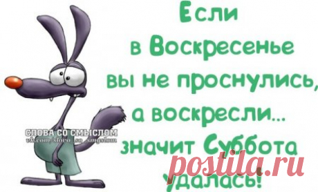 Дневник Иримед