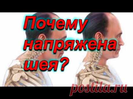 Причина боли и напряжения в шее.Как плечи влияют на шею.Остеопатия.