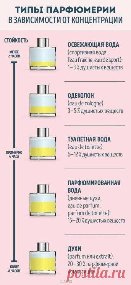 Руководство для тех, кто хочет разбираться в парфюме