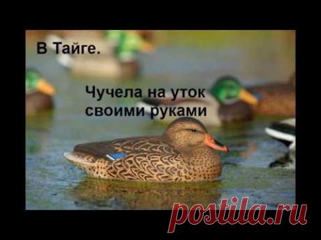 В Тайге. Чучела на уток своими руками