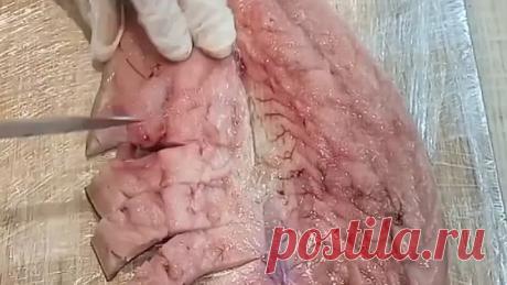 37a790b538707a1aed5456ae928cbc33_449442_1663772686