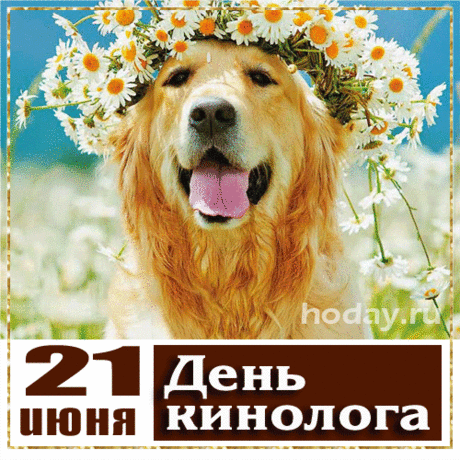 Кинолог, тебе желаю я терпенья,
Ведь без него прожить так нелегко.
Я поздравляю с днем подразделенья!
И знай, всем сложно было б без него.