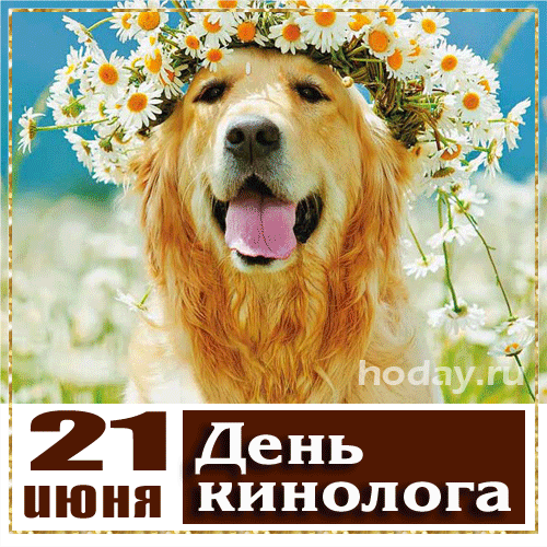 Кинолог, тебе желаю я терпенья,
Ведь без него прожить так нелегко.
Я поздравляю с днем подразделенья!
И знай, всем сложно было б без него.