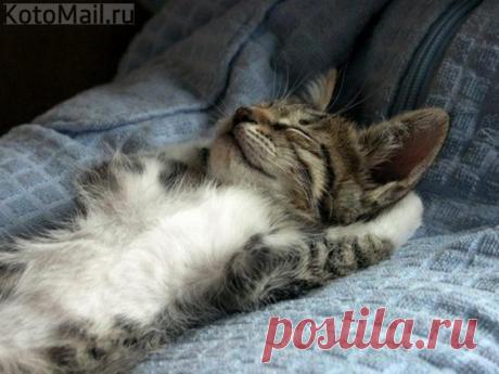 Если не можешь противостоять - противолежи