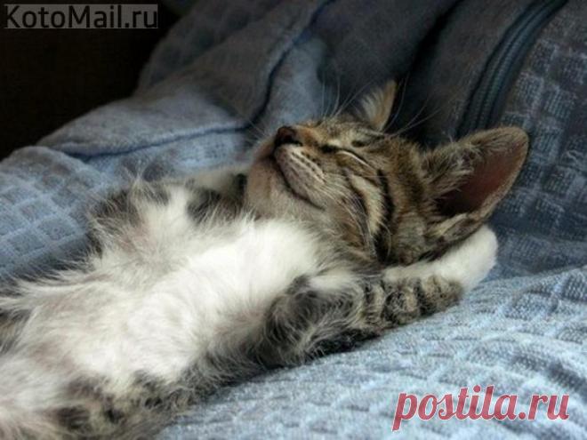 Если не можешь противостоять - противолежи