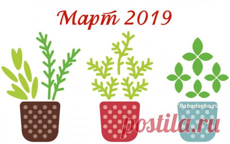 Засолка капусты: Сколько соли на 1 кг капусты нужно положить? | Дача