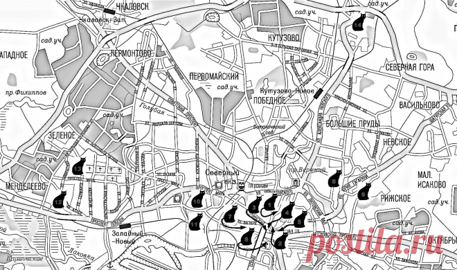 Тайны старого города от прусского кота - Заметки о жизни за чашкой горячего кофе
