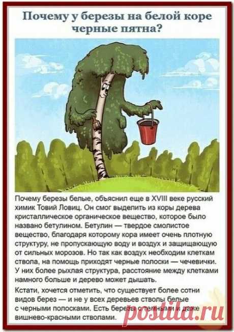 Биология

