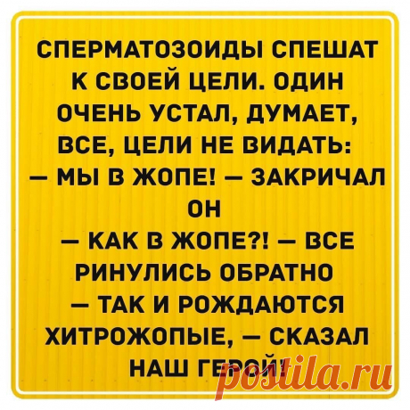 Сперматозоиды в жопе