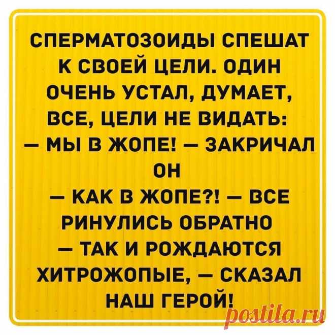 Сперматозоиды в жопе