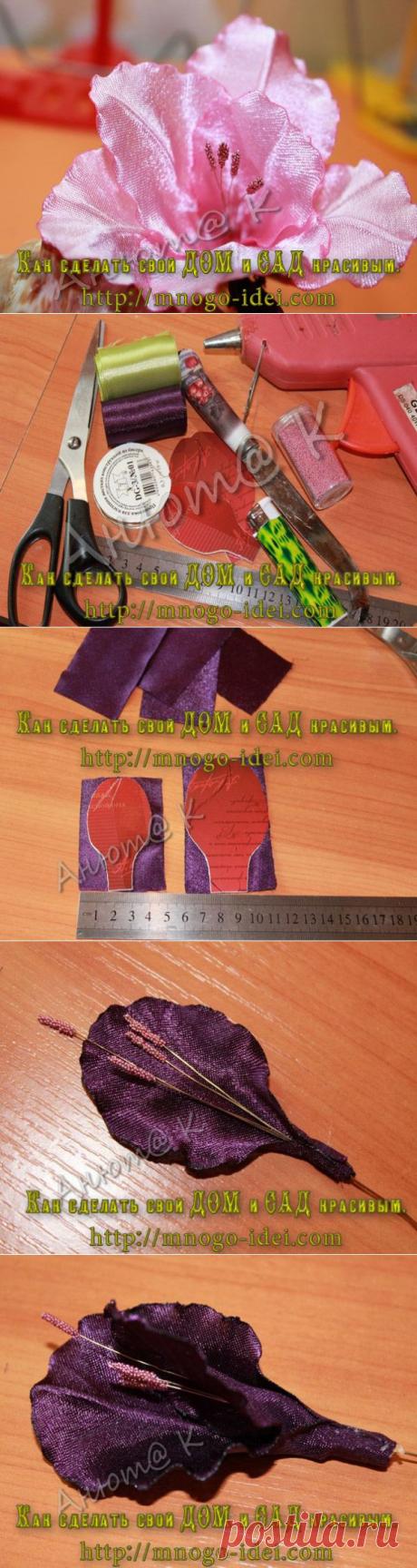 Гладиолус. Мастер класс. |