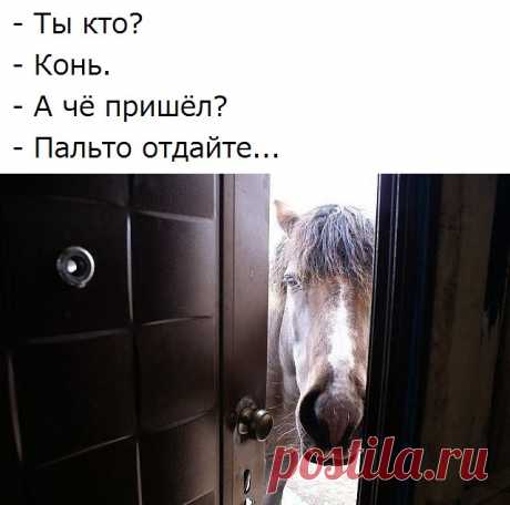 Юмор. УЛЫБНУЛО