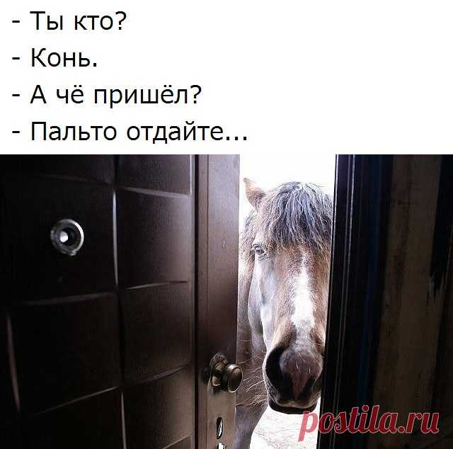 Юмор. УЛЫБНУЛО