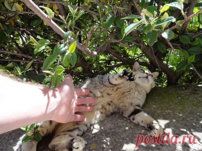 и сразу друзья!!!