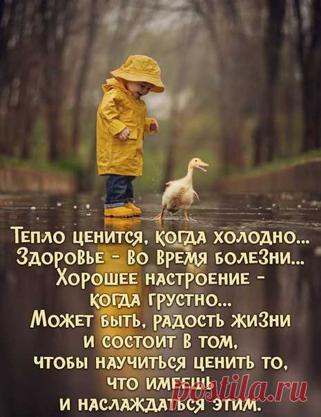 Открытки с Днем рождения, пожелания