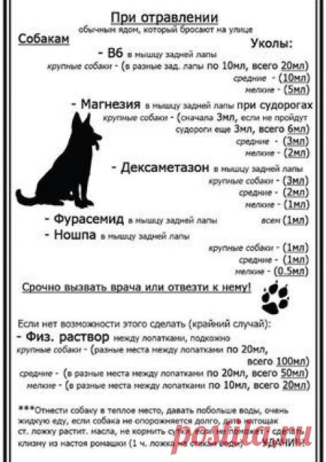 (12) Facebook