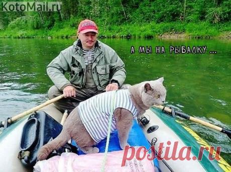 ... на рыбалку ... | KotoMail.ru