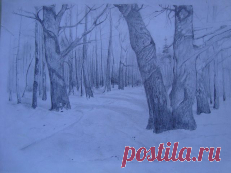 Зимний лес.Графика.