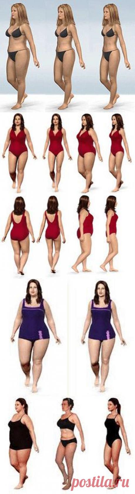 Как быстро и эффективно похудеть?