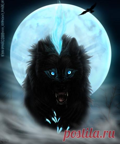 Фото Черный волк бежит в тумане на фоне луны, страница