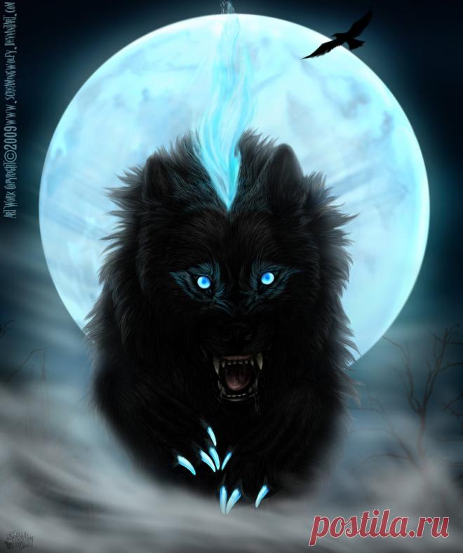 Фото Черный волк бежит в тумане на фоне луны, страница
