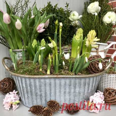 Весна дарит обострение чувств и ощущение безмерности. Всего - жизни, возможностей, тоски, любви, нежности… И ты звучишь в согласии с миром…
И словно пробуешь на вкус Вечность…
© Юлия Прозорова