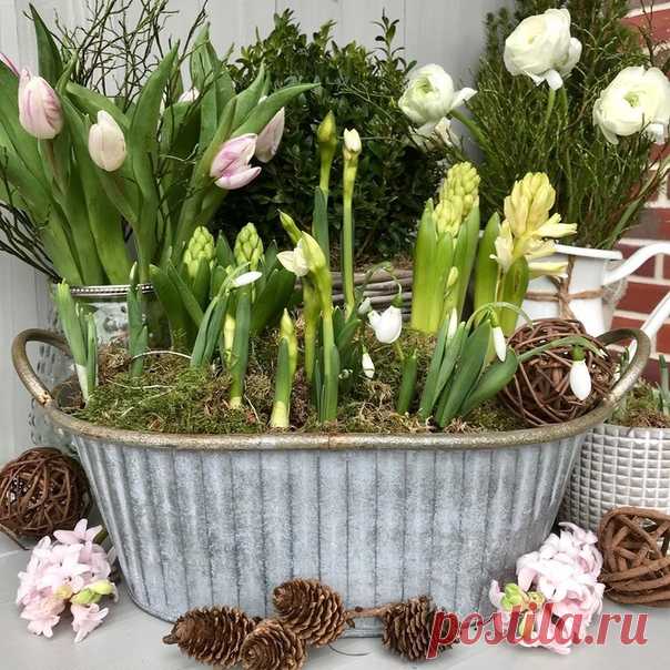 Весна дарит обострение чувств и ощущение безмерности. Всего - жизни, возможностей, тоски, любви, нежности… И ты звучишь в согласии с миром…
И словно пробуешь на вкус Вечность…
© Юлия Прозорова