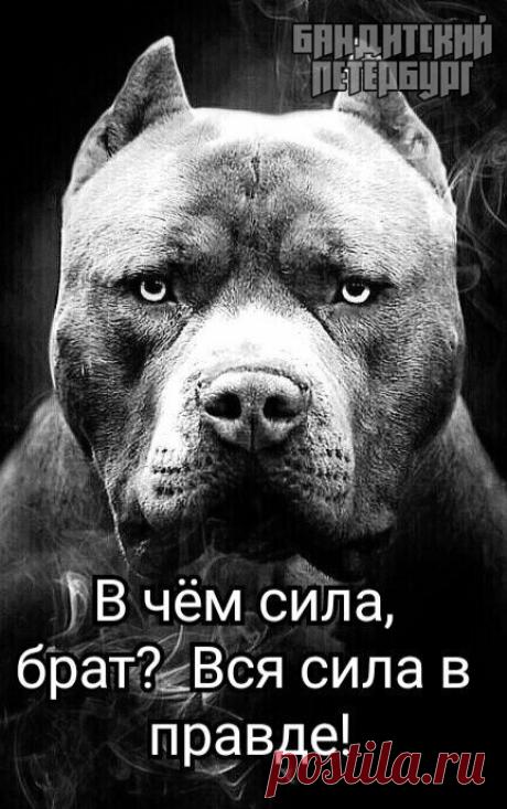 i (432×688)